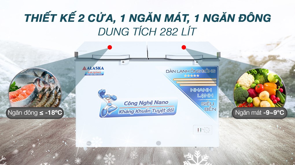 Tủ đông Alaska 282 lít BCD 4568C - Tổng quan thiết kế