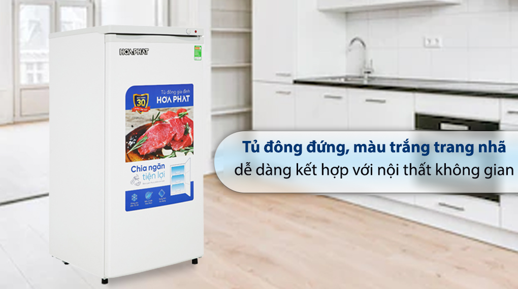 Tủ đông đứng Hòa Phát 147 Lít HPF UAH6147 - Tổng quan thiết kế