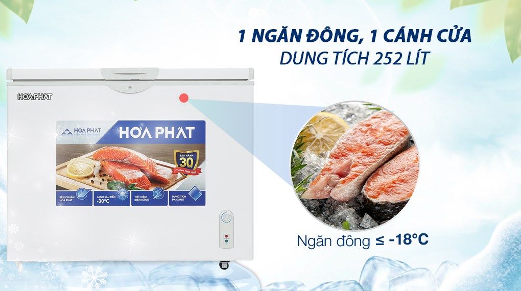 Tủ đông Hòa Phát 252 lít HPF AD6252 - Tổng quan thiết kế