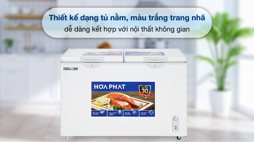 Tủ đông Hòa Phát 352 Lít HPF AD6352 - Tổng quan thiết kế