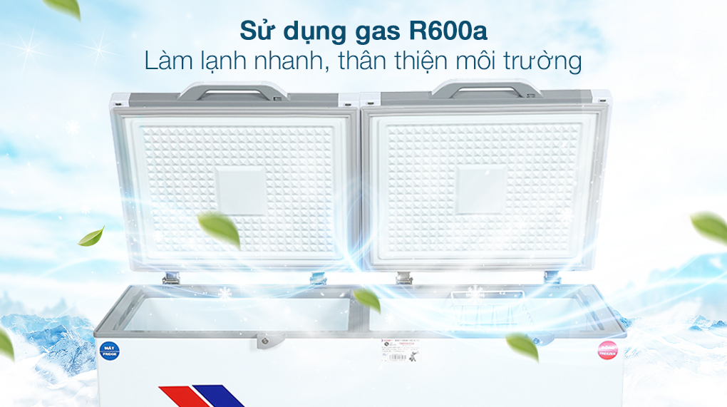 Tủ đông Sanaky 280 lít TD.VH4099W2KD - Gas R600a