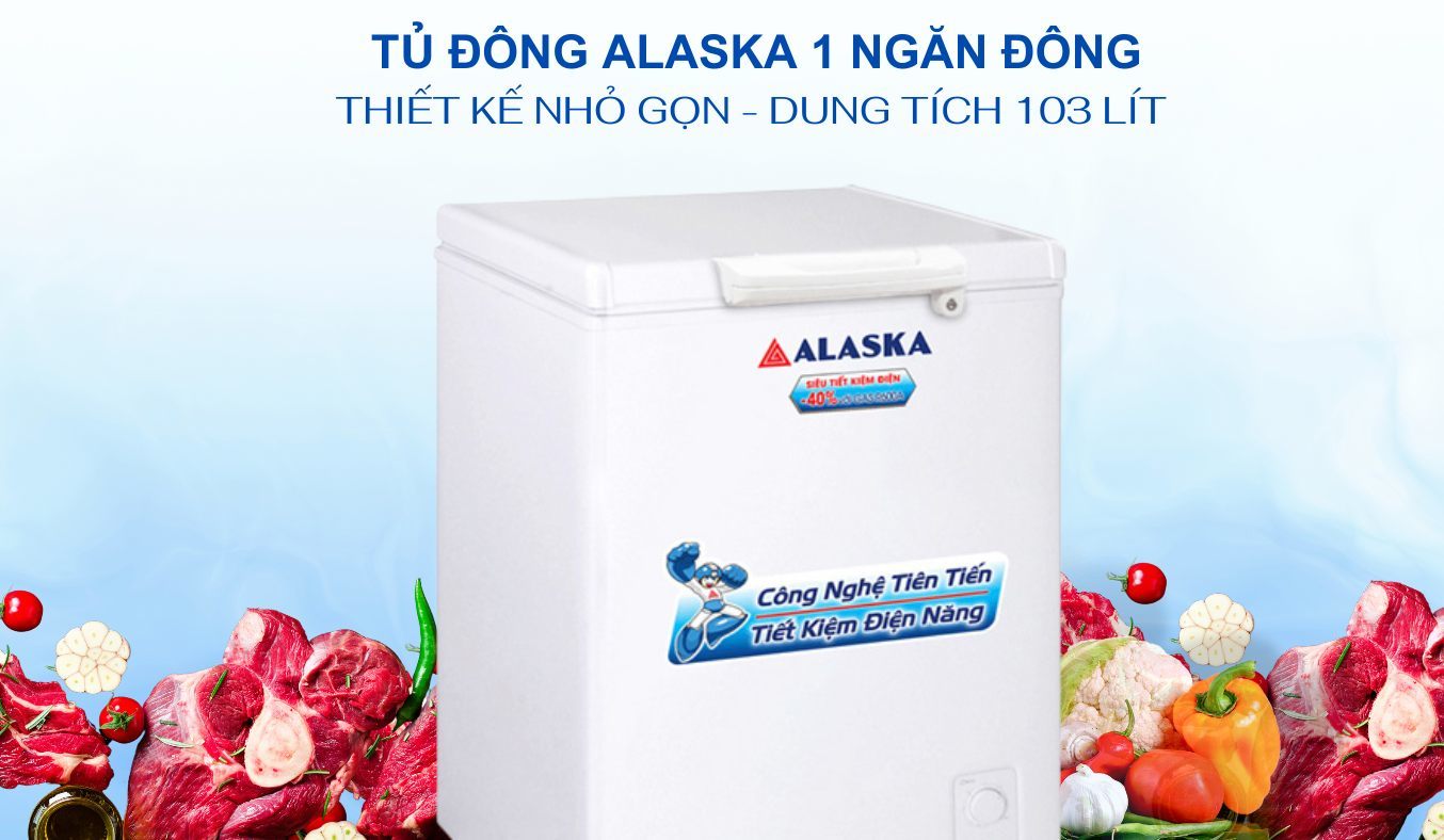 Tủ đông Alaska 150 lít BD-150 dung tích lớn