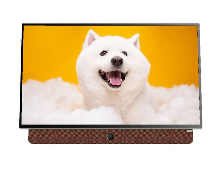 Google Tivi Xách Tay Di Động Coocaa Full HD 24 Inch 24LP6000G