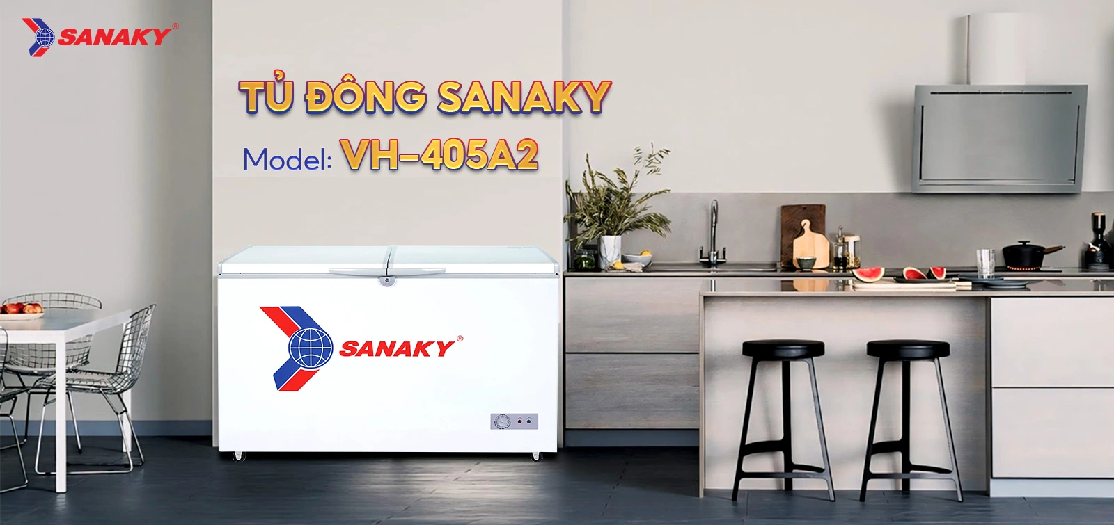 Tủ đông Sanaky VH-405A2