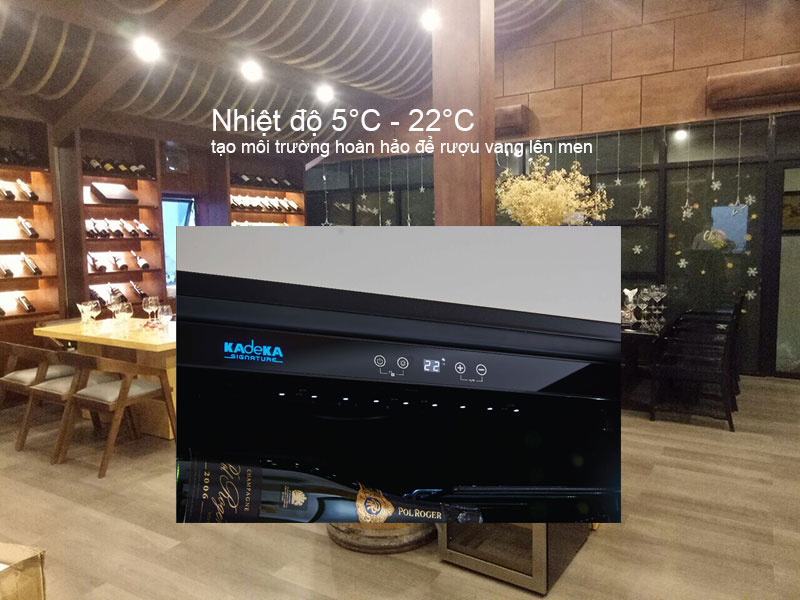 Nhiệt độ lạnh 5°C - 22°C tạo môi trường hoàn hảo để rượu vang lên men