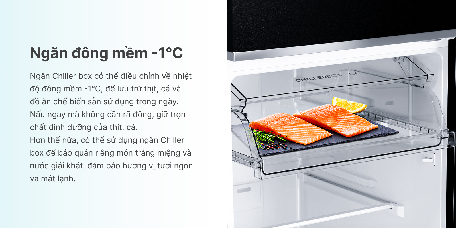 H2 - Ngăn đông mềm